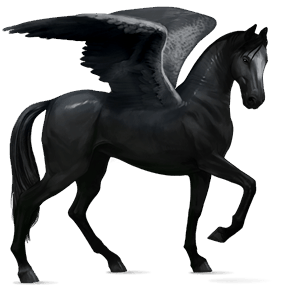 ridepegasus frieserhest svart