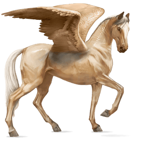 ridepegasus akhal-teke palomino