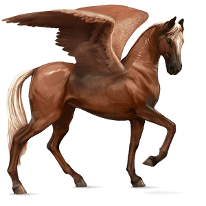 ridepegasus brun