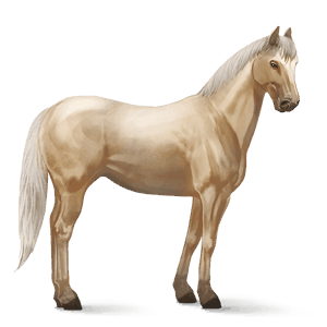 ridehest quarter horse palomino