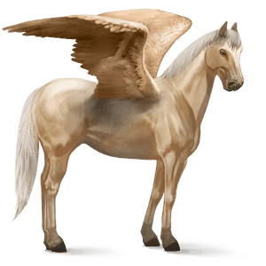 ridepegasus argentinsk criollo cremello