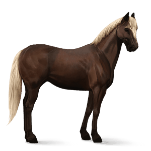 ridehest american paint horse palomino overo