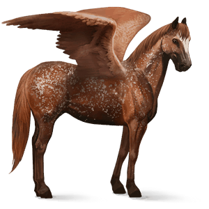 ridepegasus epleskimmel tobiano