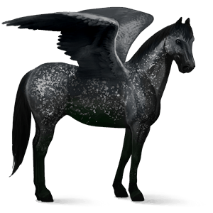 ridepegasus svart snowflake