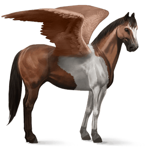 ridepegasus american paint horse brun tobiano