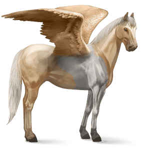 ridepegasus american paint horse svart overo