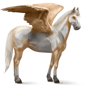 ridepegasus american paint horse palomino overo