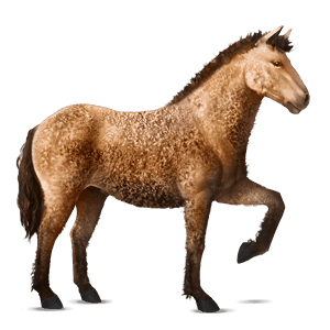 ridehest quarter horse palomino