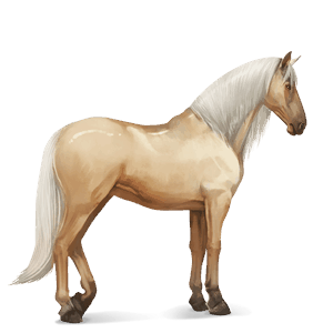 ridehest quarter horse palomino