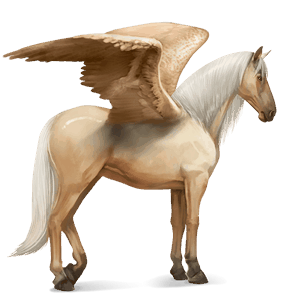 ridepegasus quarter horse palomino