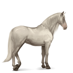 ridehest quarter horse cremello