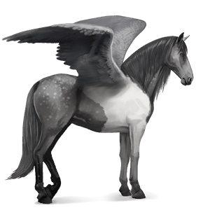 ridepegasus tinker svart