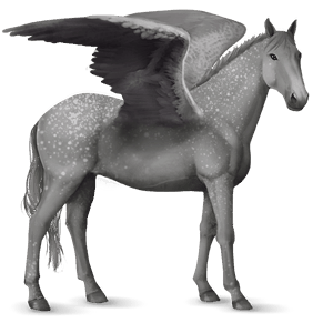 ridepegasus knabstruper epleskimmel