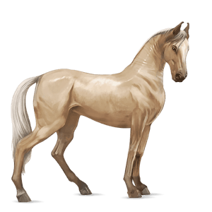 ridehest palomino