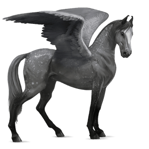 ridepegasus kwpn epleskimmel