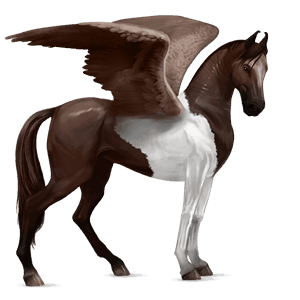 ridepegasus tinker brun tobiano