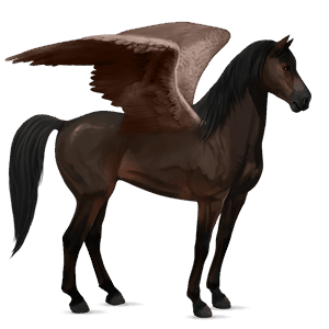 ridepegasus brun