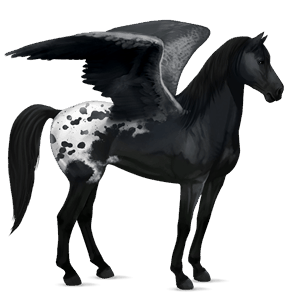 ridepegasus mustang skimlet