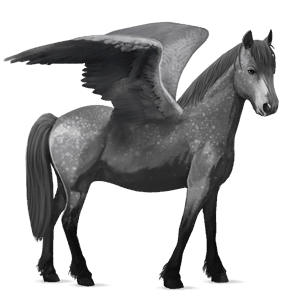 pegasus-ponni epleskimmel