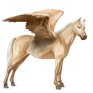 pegasus-ponni palomino