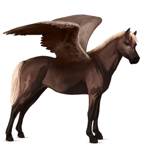 pegasus-ponni highlandponni blakk