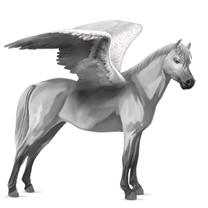 pegasus-ponni welsh epleskimmel