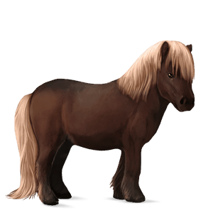 ponni haflinger linfarget fuks