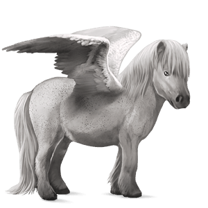 pegasus-ponni shetlandsponni epleskimmel