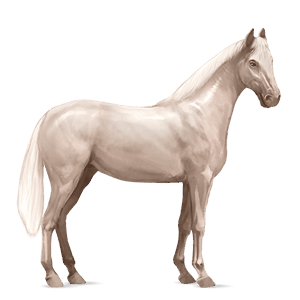 ridehest quarter horse cremello