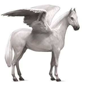 ridepegasus arabisk hest epleskimmel