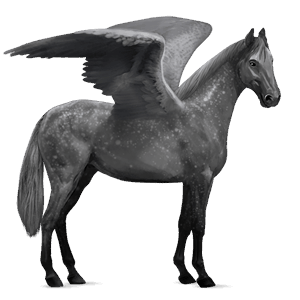 ridepegasus holsteiner epleskimmel