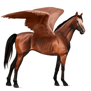 ridepegasus quarter horse linfarget fuks