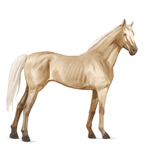 ridehest fullblodshest palomino