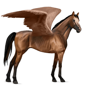 ridepegasus fullblodshest brun