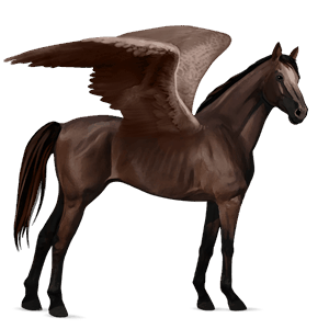 ridepegasus quarter horse brun