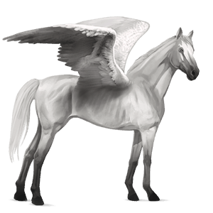 ridepegasus fullblodshest epleskimmel