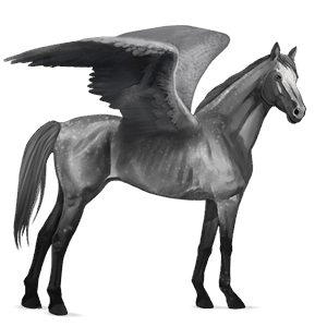 ridepegasus fullblodshest epleskimmel