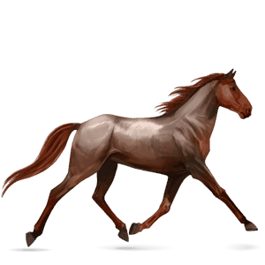 ridehest quarter horse rødbrun