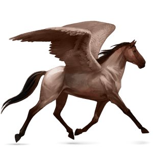 ridepegasus skimlet